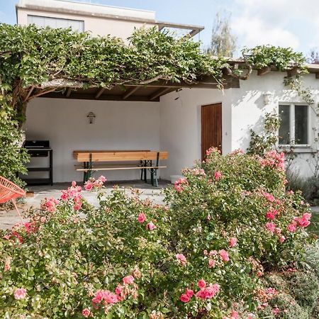 Haus Im Zentrum Mit Garten Villa Bregenz Bagian luar foto